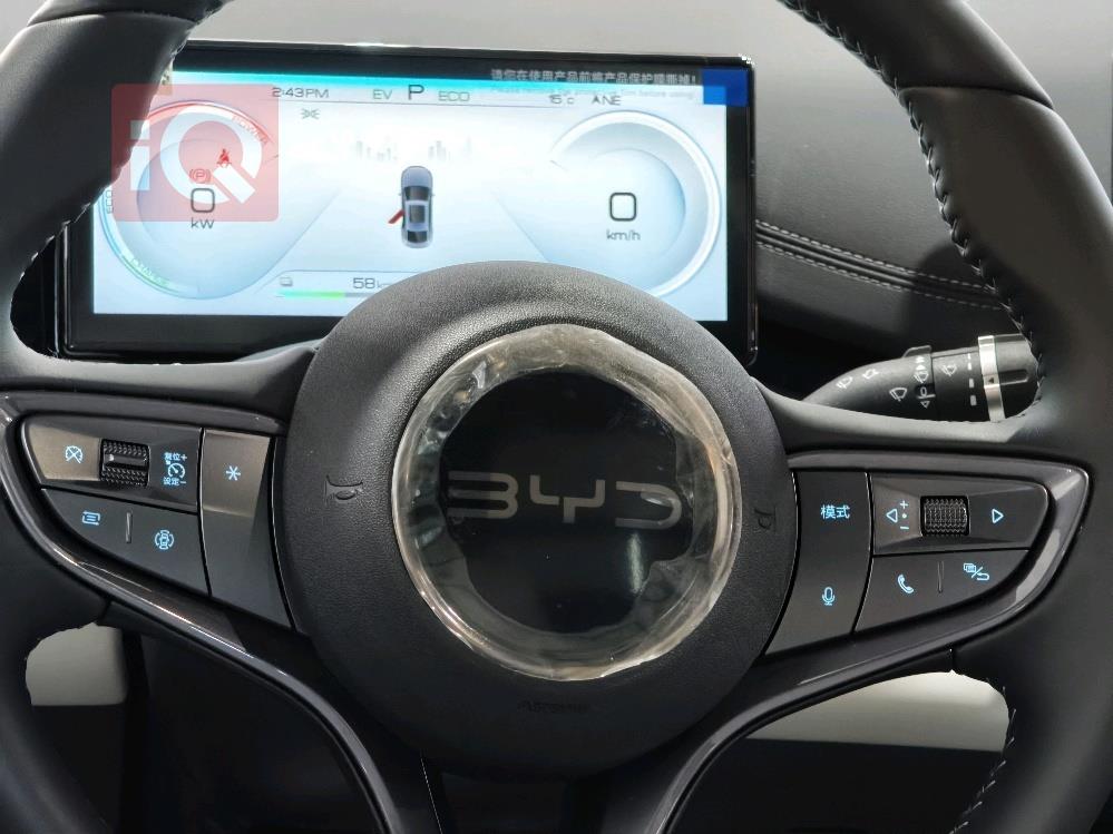 بي واي دي سيل 06 DM-i